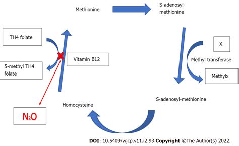 Nitrous oxide: Uses, Interactions, Mechanism of Action